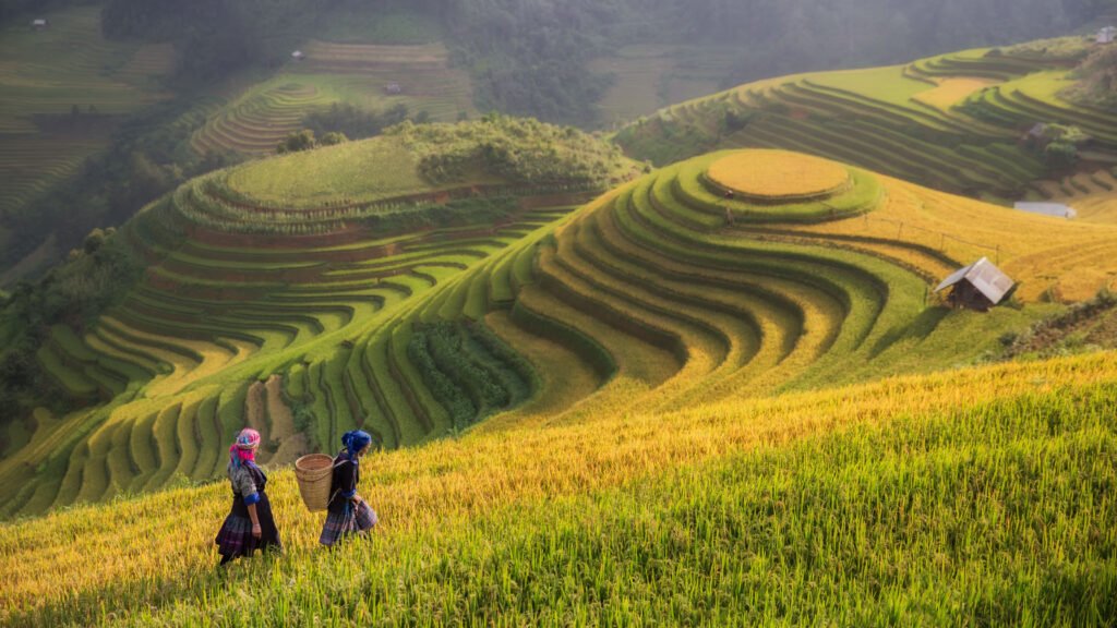 Vietnam - Sapa