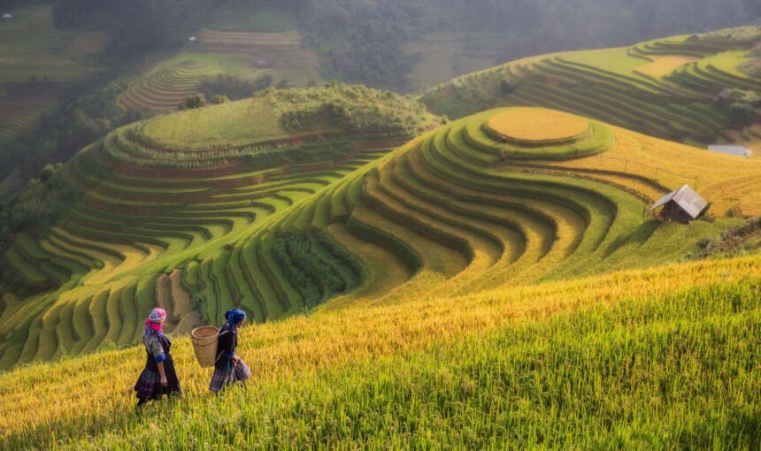 20天越南全景遊 20Day Vietnam Panorama